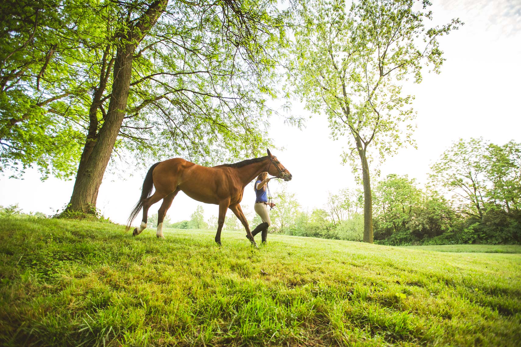 20160522_UckeleHorsefarm_0169